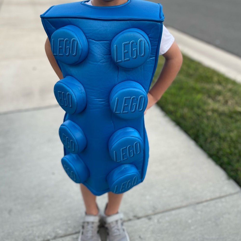 Boys LEGO costume